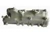 Intake Manifold:504333384