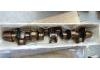 Crankshaft:504125796