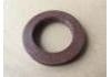 Crankshaft Oil Seal:504056152