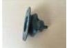 发动机支架 Engine Mounting:504074159