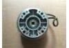 Fan Clutch:504092014