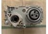 oil pump:504027985