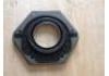 Crankshaft Oil Seal:504086312