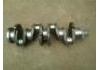 Crankshaft:500314784