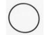 Other parts:504325903 17291181