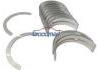Engine Bearing:500086156