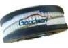 Air Filter:504075145