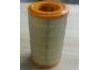 Air Filter:1903669