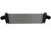 Radiator and Intercooler:5802064911 5801526779
