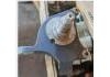 Steering Knuckle:504016464