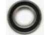 Gearbox Bearing:42536838 8869668 8871270