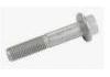 Control Arm Bolt:500317413