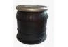 Air Suspension Cushion:504035755