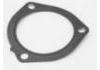 Fuel Pump Drive Gasket:504135161