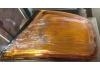 Turn Signal Light:500320426