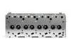 Cylinder Head:504007421