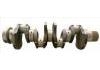 Crankshaft:1907556
