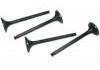 Other Parts Exhaust Valve:4826033