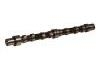 Camshaft:504006993