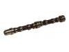 Camshaft:504006995