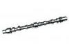 Camshaft:504096185