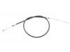Brake Cable:500352988